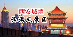 在线观看视频大鸡吧中国陕西-西安城墙旅游风景区